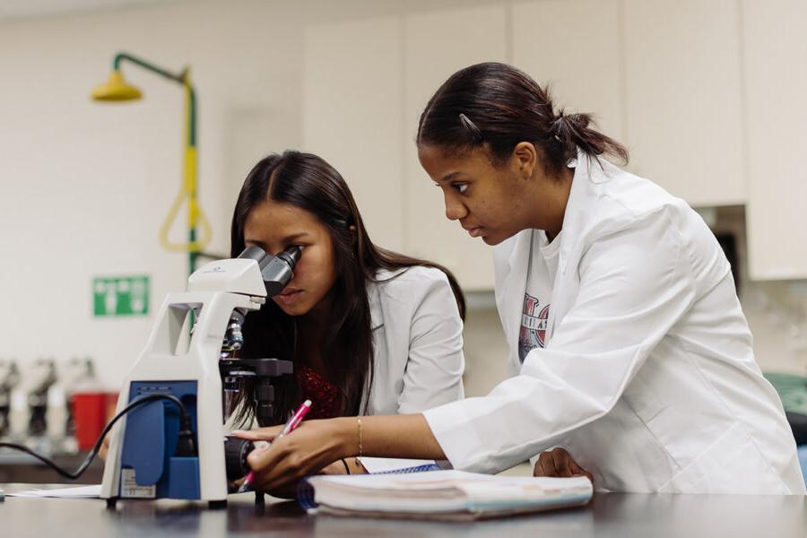 生物学和健康科学的学生在实验室里用显微镜观察