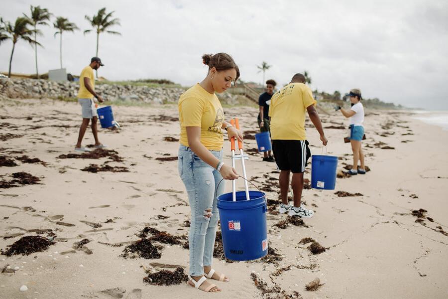 学习植物学、环境科学和野外生物学的学生在海滩上收集垃圾